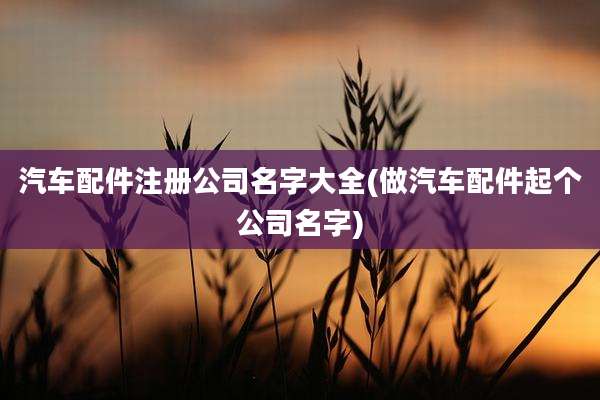 汽车配件注册公司名字大全(做汽车配件起个公司名字)