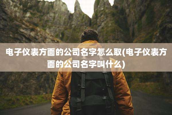 电子仪表方面的公司名字怎么取(电子仪表方面的公司名字叫什么)