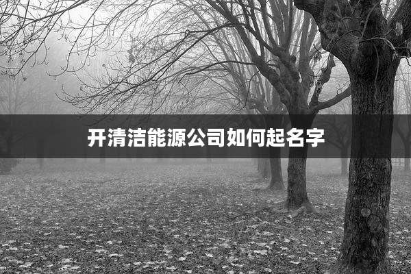 开清洁能源公司如何起名字