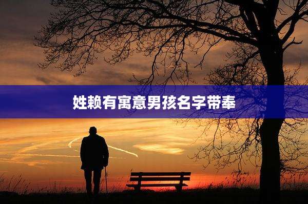 姓赖有寓意男孩名字带奉
