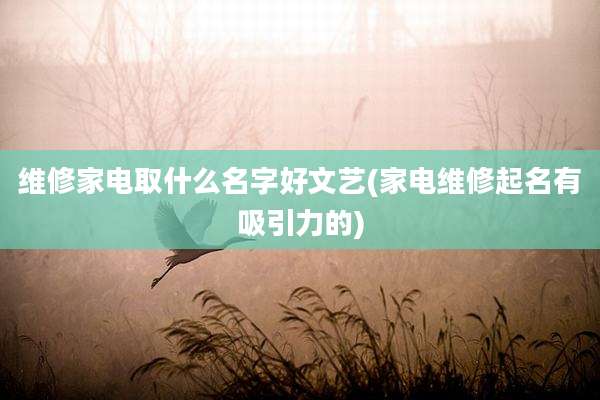 维修家电取什么名字好文艺(家电维修起名有吸引力的)