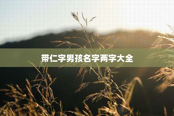 带仁字男孩名字两字大全