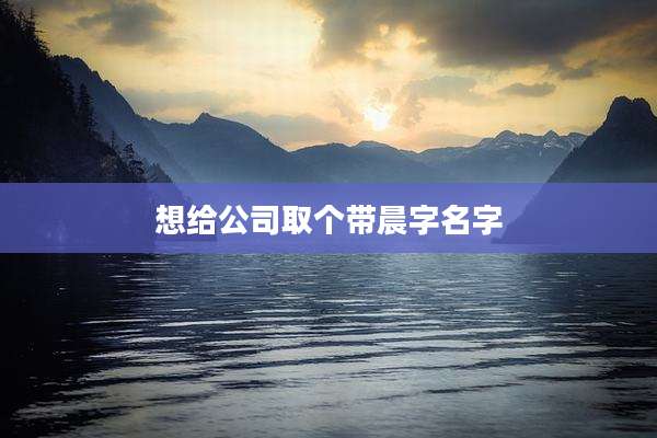 想给公司取个带晨字名字