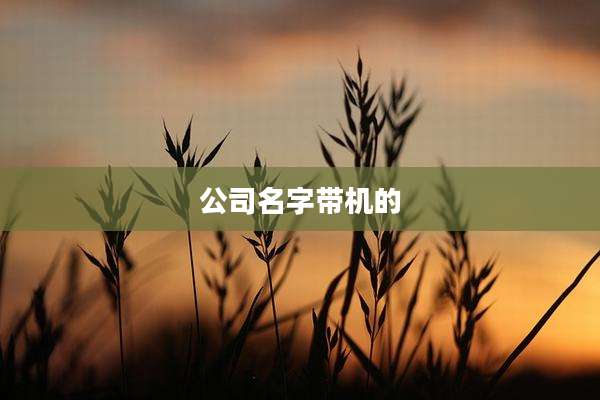 公司名字带机的