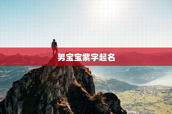 男宝宝紫字起名