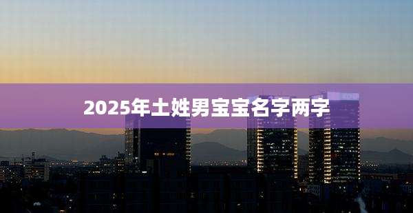 2025年土姓男宝宝名字两字