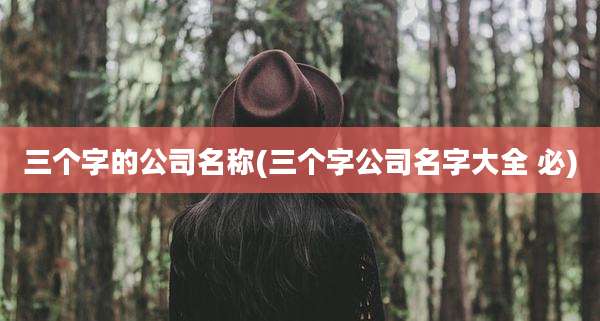 三个字的公司名称(三个字公司名字大全 必)