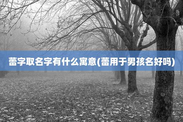 蕾字取名字有什么寓意(蕾用于男孩名好吗)