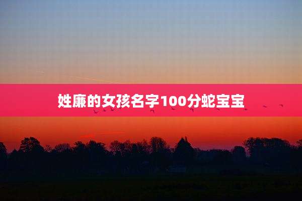 姓廉的女孩名字100分蛇宝宝