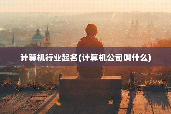 计算机行业起名(计算机公司叫什么)
