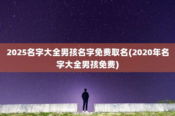 2025名字大全男孩名字免费取名(2020年名字大全男孩免费)