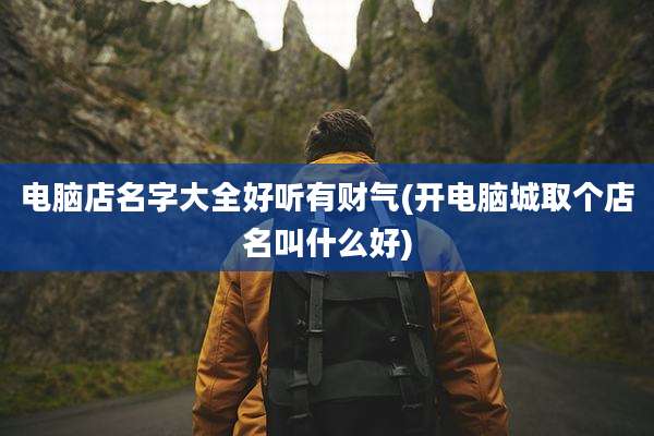电脑店名字大全好听有财气(开电脑城取个店名叫什么好)