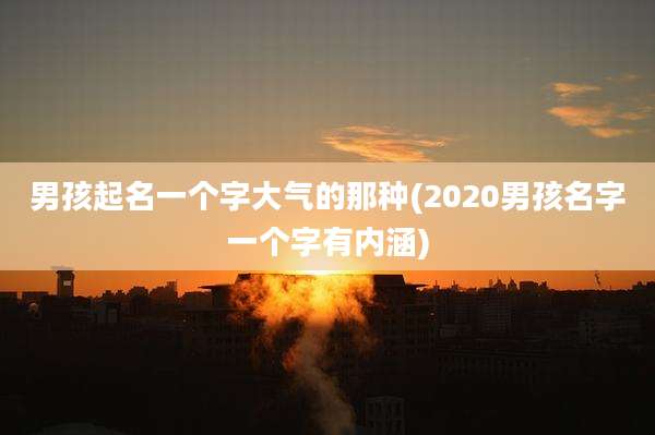 男孩起名一个字大气的那种(2020男孩名字一个字有内涵)