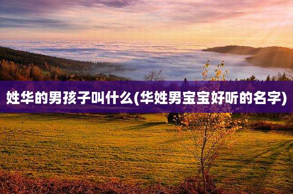 姓华的男孩子叫什么(华姓男宝宝好听的名字)