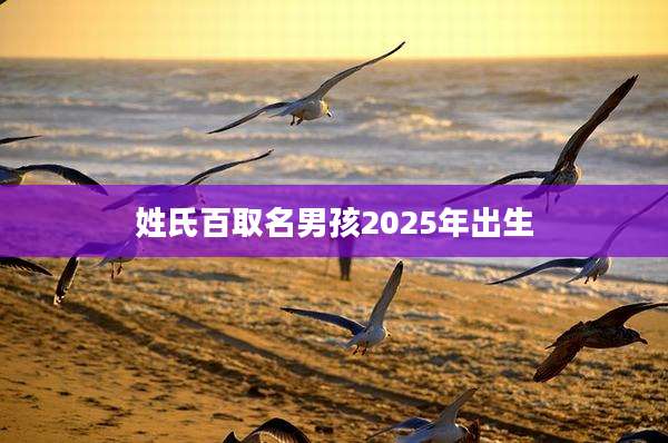 姓氏百取名男孩2025年出生