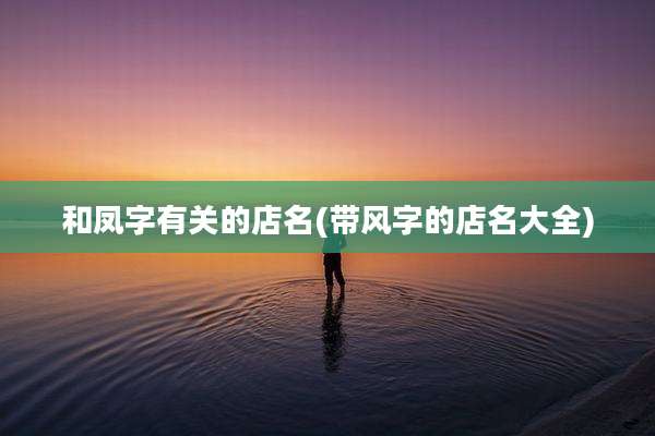 和凤字有关的店名(带风字的店名大全)