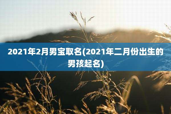 2021年2月男宝取名(2021年二月份出生的男孩起名)