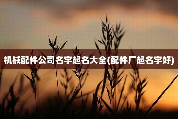 机械配件公司名字起名大全(配件厂起名字好)