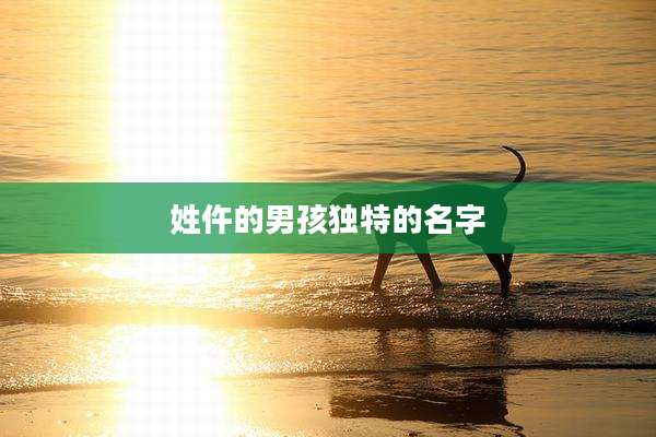姓仵的男孩独特的名字
