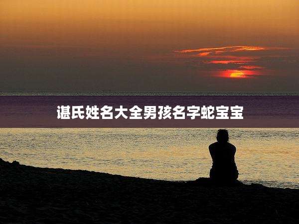 谌氏姓名大全男孩名字蛇宝宝