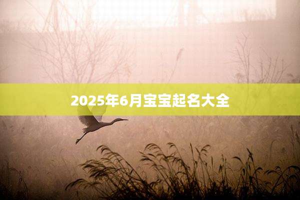 2025年6月宝宝起名大全