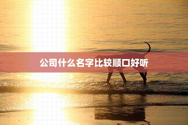 公司什么名字比较顺口好听