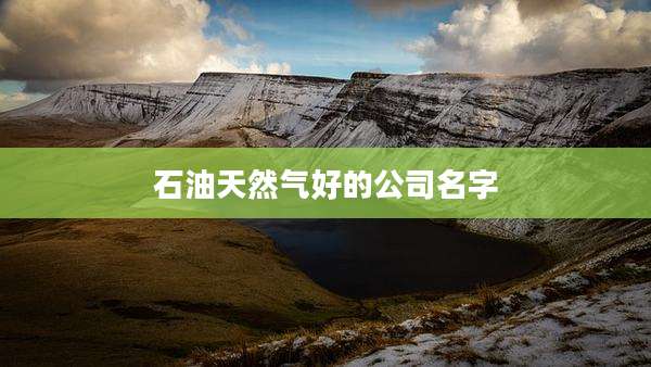 石油天然气好的公司名字