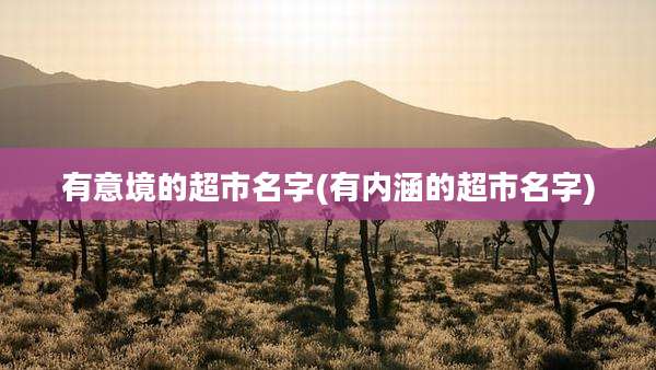 有意境的超市名字(有内涵的超市名字)