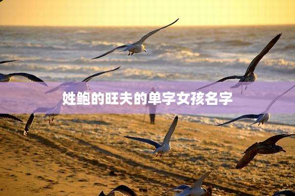 姓鲍的旺夫的单字女孩名字