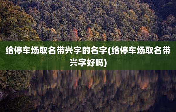 给停车场取名带兴字的名字(给停车场取名带兴字好吗)