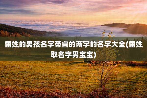 雷姓的男孩名字带睿的两字的名字大全(雷姓取名字男宝宝)