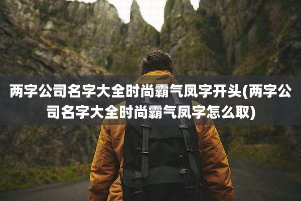 两字公司名字大全时尚霸气凤字开头(两字公司名字大全时尚霸气凤字怎么取)