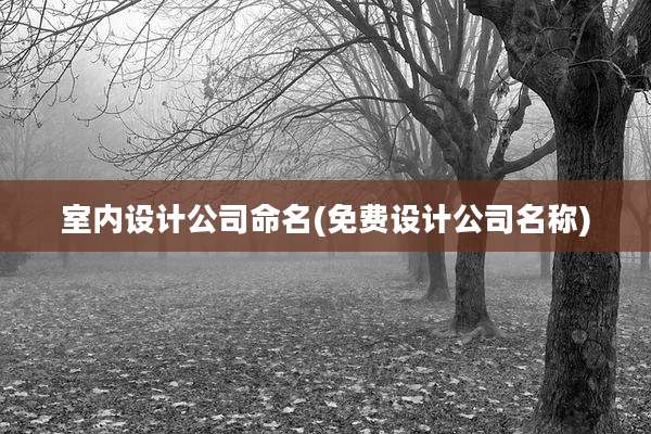 室内设计公司命名(免费设计公司名称)