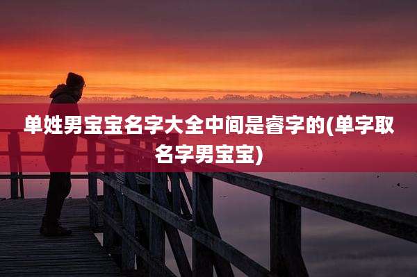 单姓男宝宝名字大全中间是睿字的(单字取名字男宝宝)