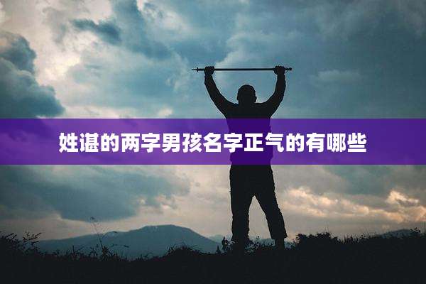 姓谌的两字男孩名字正气的有哪些