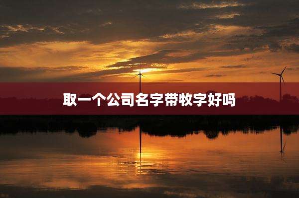 取一个公司名字带牧字好吗