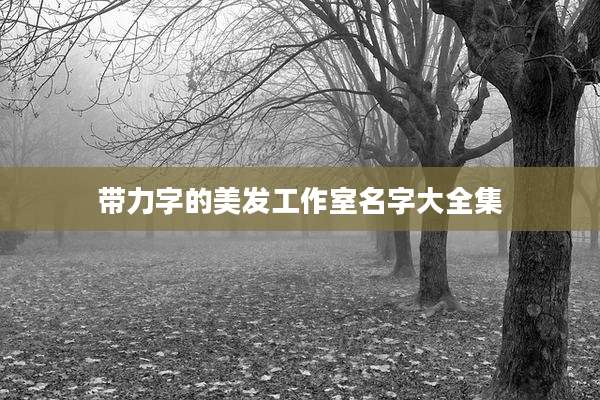 带力字的美发工作室名字大全集
