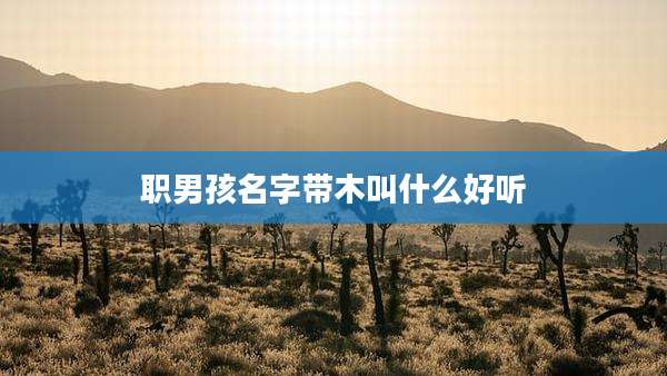 职男孩名字带木叫什么好听