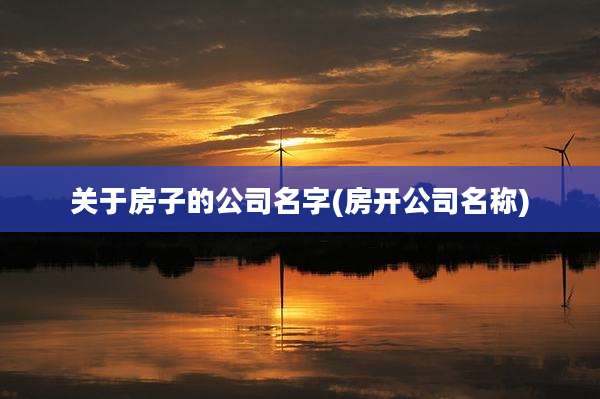 关于房子的公司名字(房开公司名称)