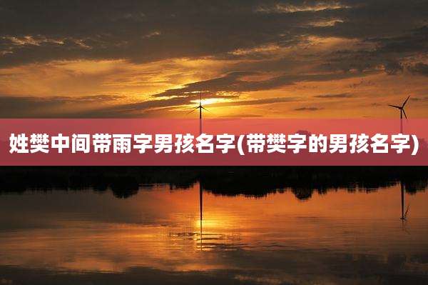 姓樊中间带雨字男孩名字(带樊字的男孩名字)