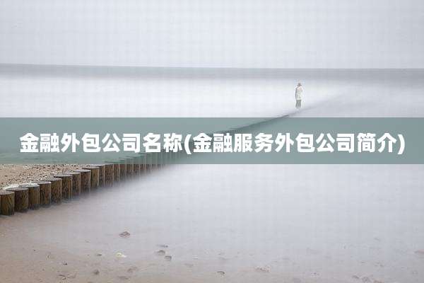 金融外包公司名称(金融服务外包公司简介)