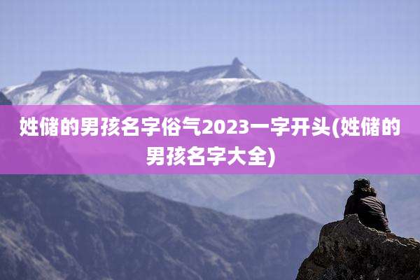 姓储的男孩名字俗气2023一字开头(姓储的男孩名字大全)