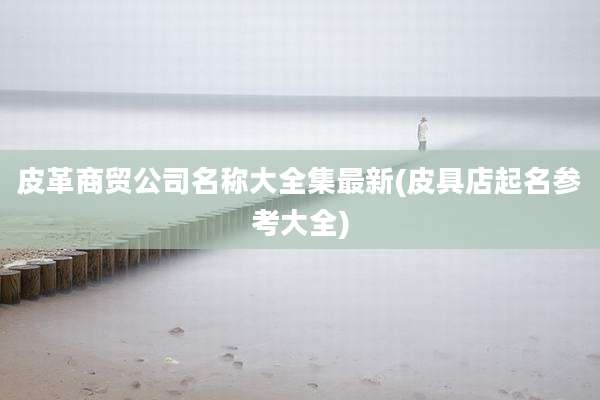 皮革商贸公司名称大全集最新(皮具店起名参考大全)