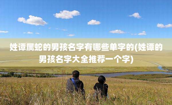 姓谭属蛇的男孩名字有哪些单字的(姓谭的男孩名字大全推荐一个字)