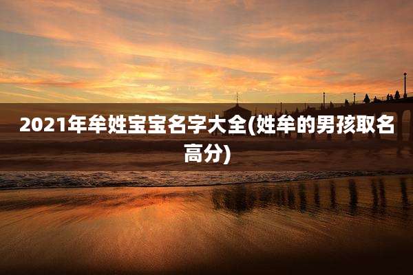 2021年牟姓宝宝名字大全(姓牟的男孩取名高分)