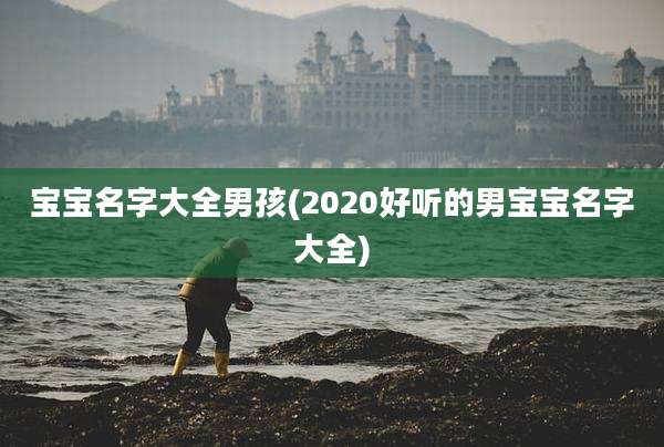 宝宝名字大全男孩(2020好听的男宝宝名字大全)