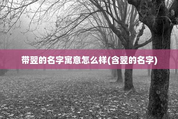 带翌的名字寓意怎么样(含翌的名字)