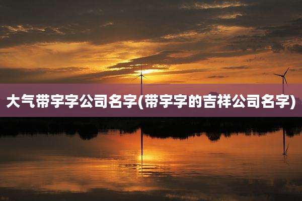 大气带宇字公司名字(带宇字的吉祥公司名字)