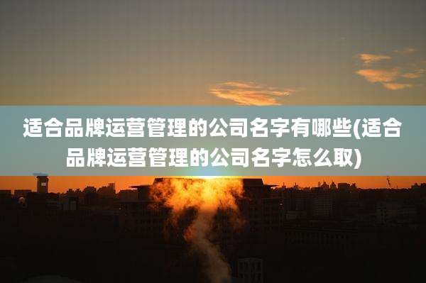 适合品牌运营管理的公司名字有哪些(适合品牌运营管理的公司名字怎么取)