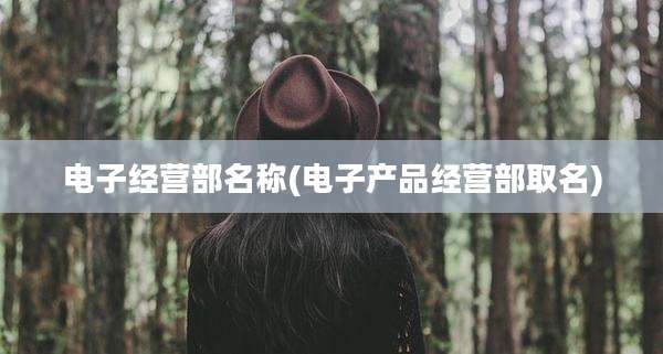 电子经营部名称(电子产品经营部取名)